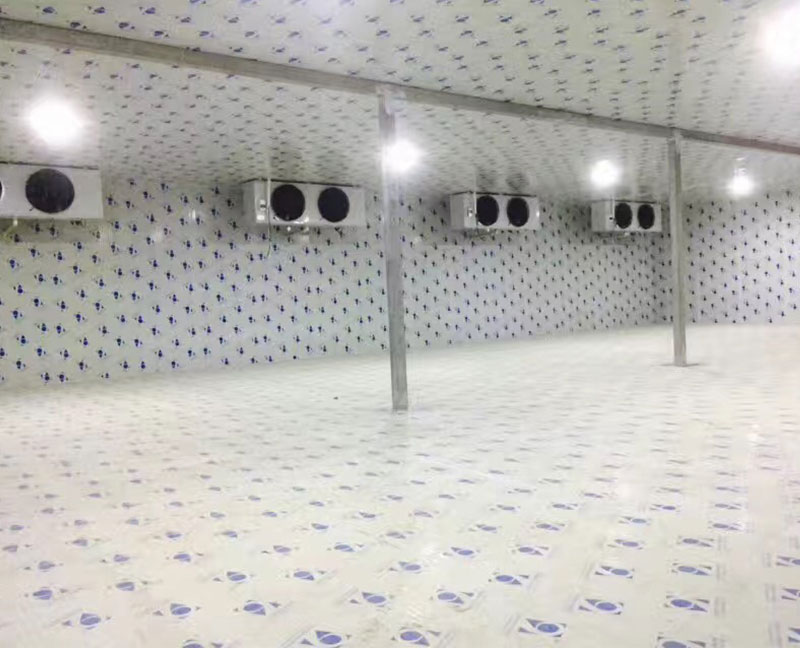 楊廟蔬菜基地/揚州九齊制冷設備有限公司